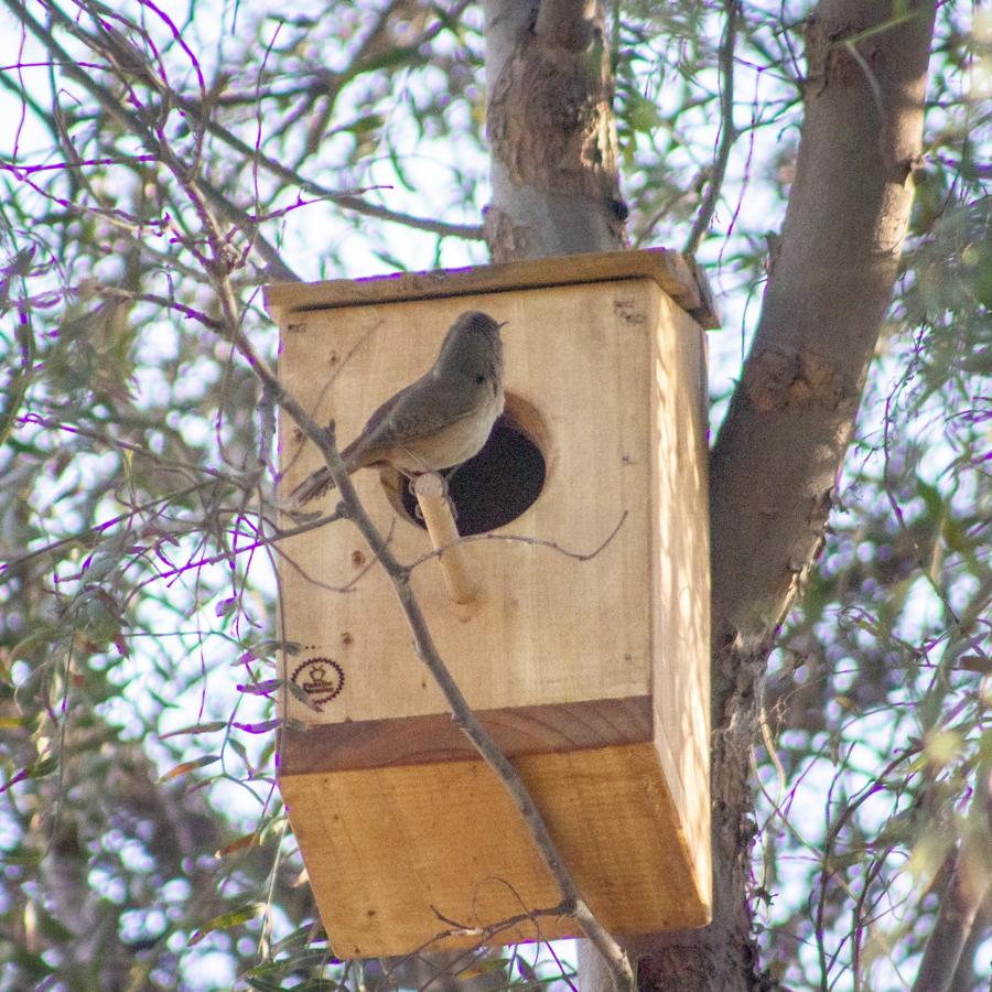 Caja nido instalada en un árbol con un ave en la entrada