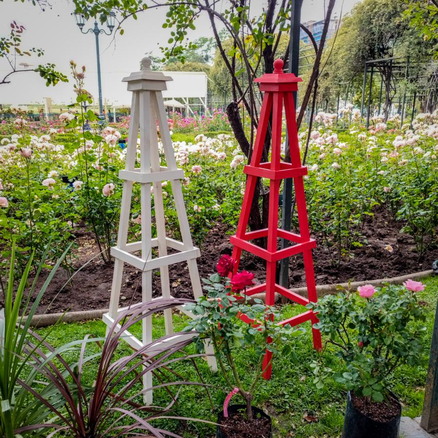 Obeliscos de madera blanco y rojo en un rosedal