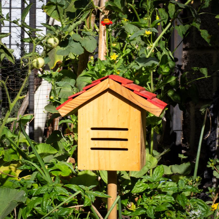 Refugio para mariposas en un huerto